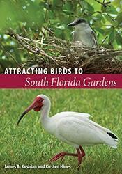 Attracting Birds to a South Florida Garden (Kushlan)