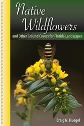Native Wildflowers and Other Groundcovers for Florida Landscapes by Craig Heugel