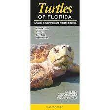 Turtles of Florida Quick Reference Guide