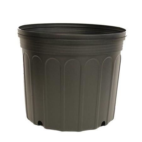 Nursery Pot (Black pots black nursery pots)