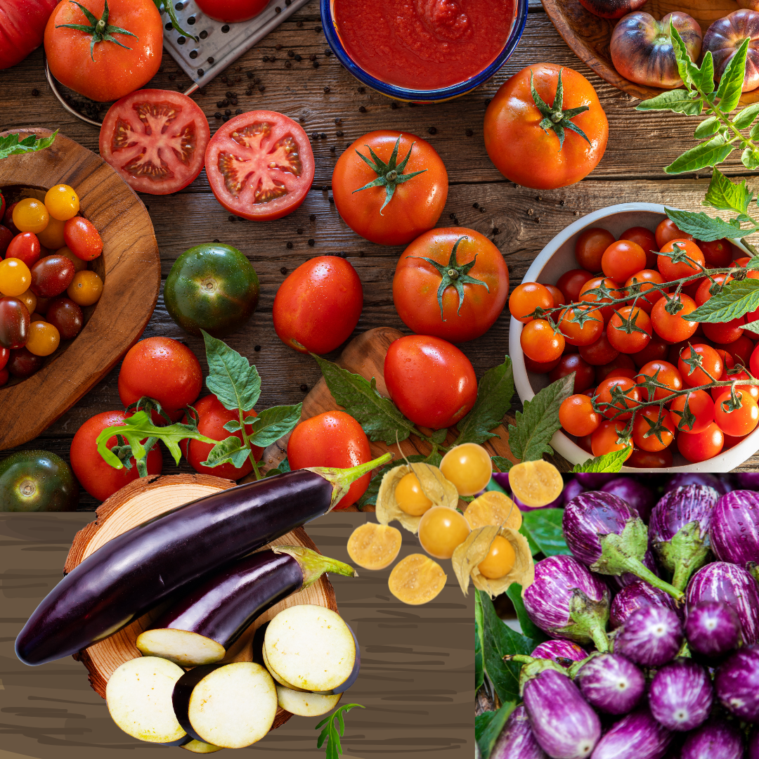 Tomato Tomatillo Eggplant Southern Exposure Seeds