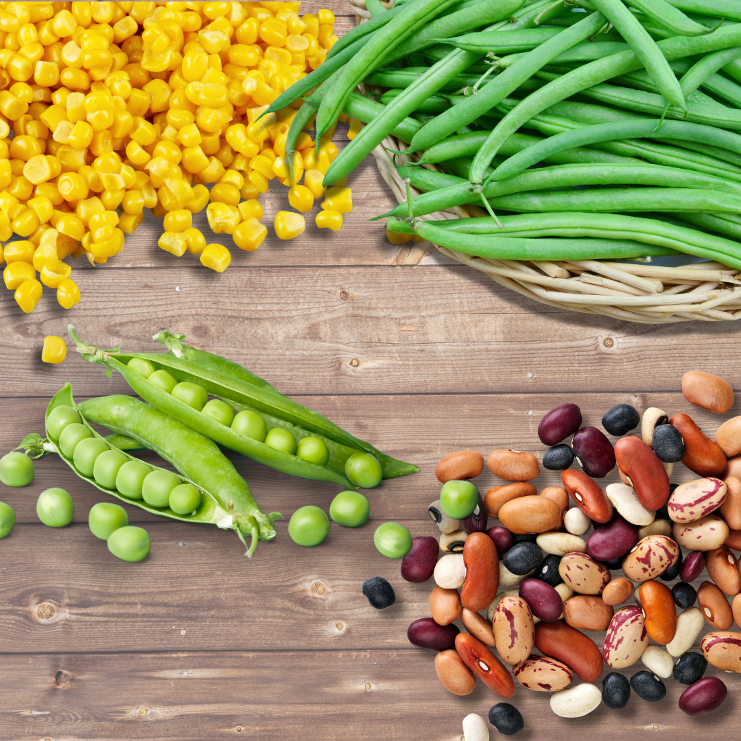 Beans, Peas, and Corn Southern Exposure Seeds