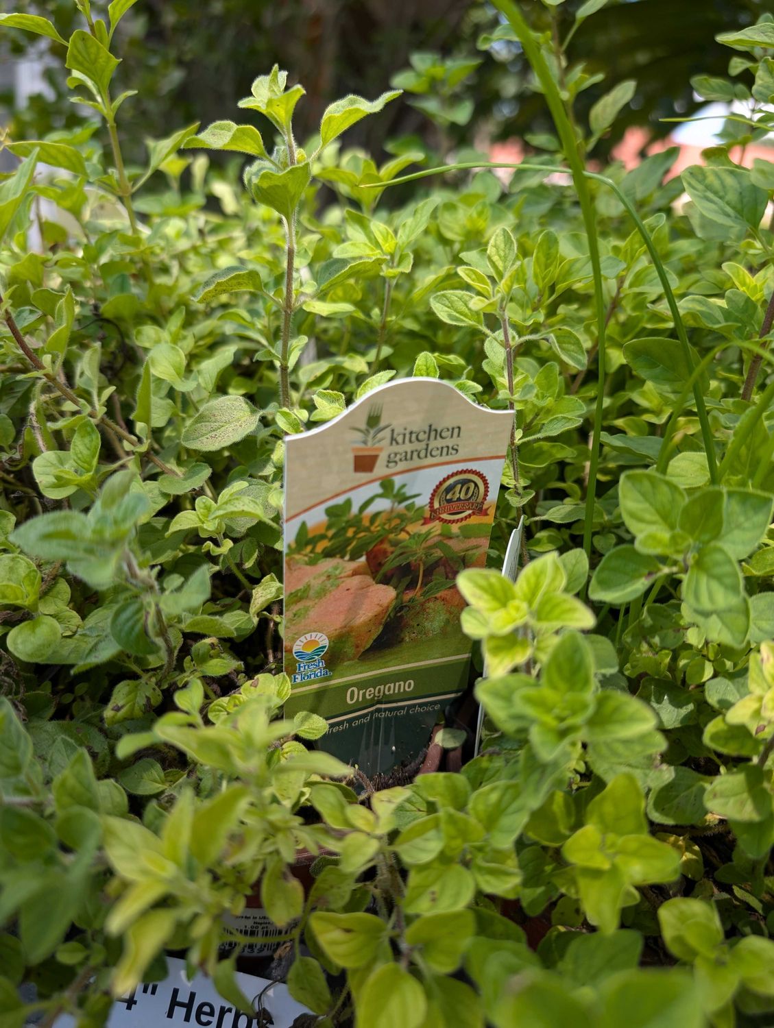 Herbs (In-store Only)