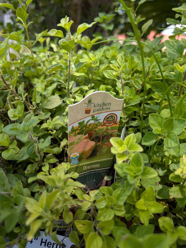 Herbs (In-store Only)
