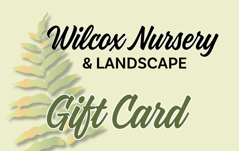 Digital Gift card