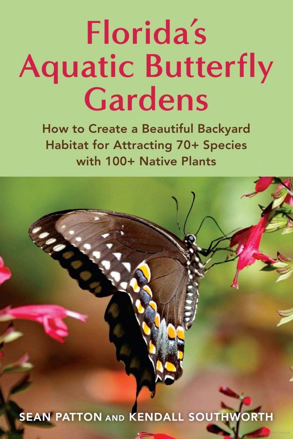 Florida's Aquatic Buttefly Gardens - Sean Patton