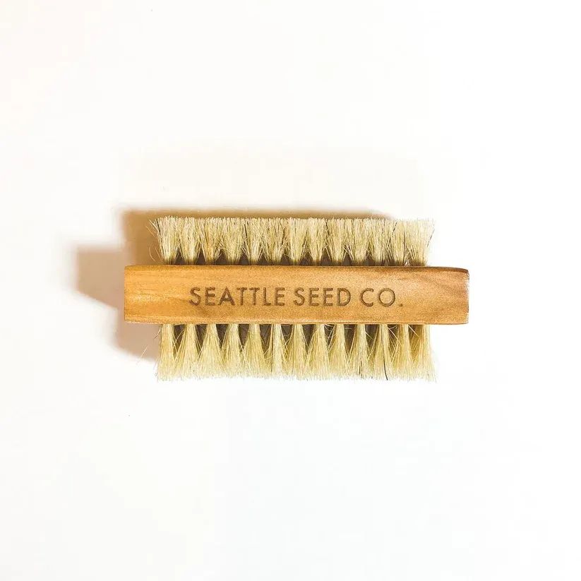 Nail and Vegetable Brush