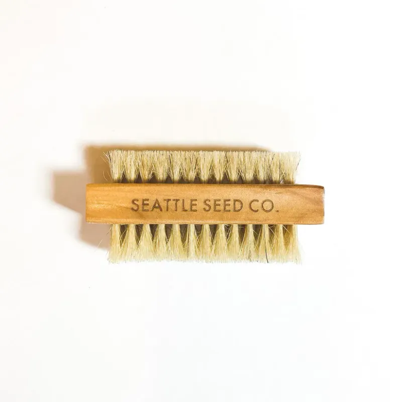 Nail and Vegetable Brush
