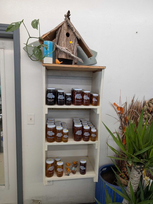 How's Your Day Honey (Local Raw Honey)
