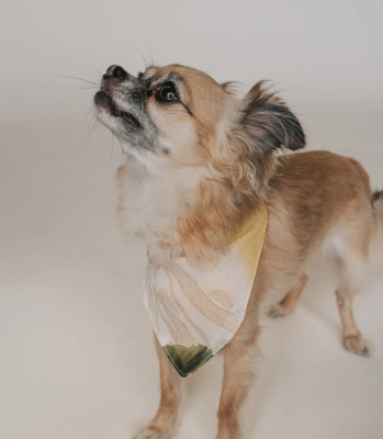 Ishivatva Dog Kerchief Small