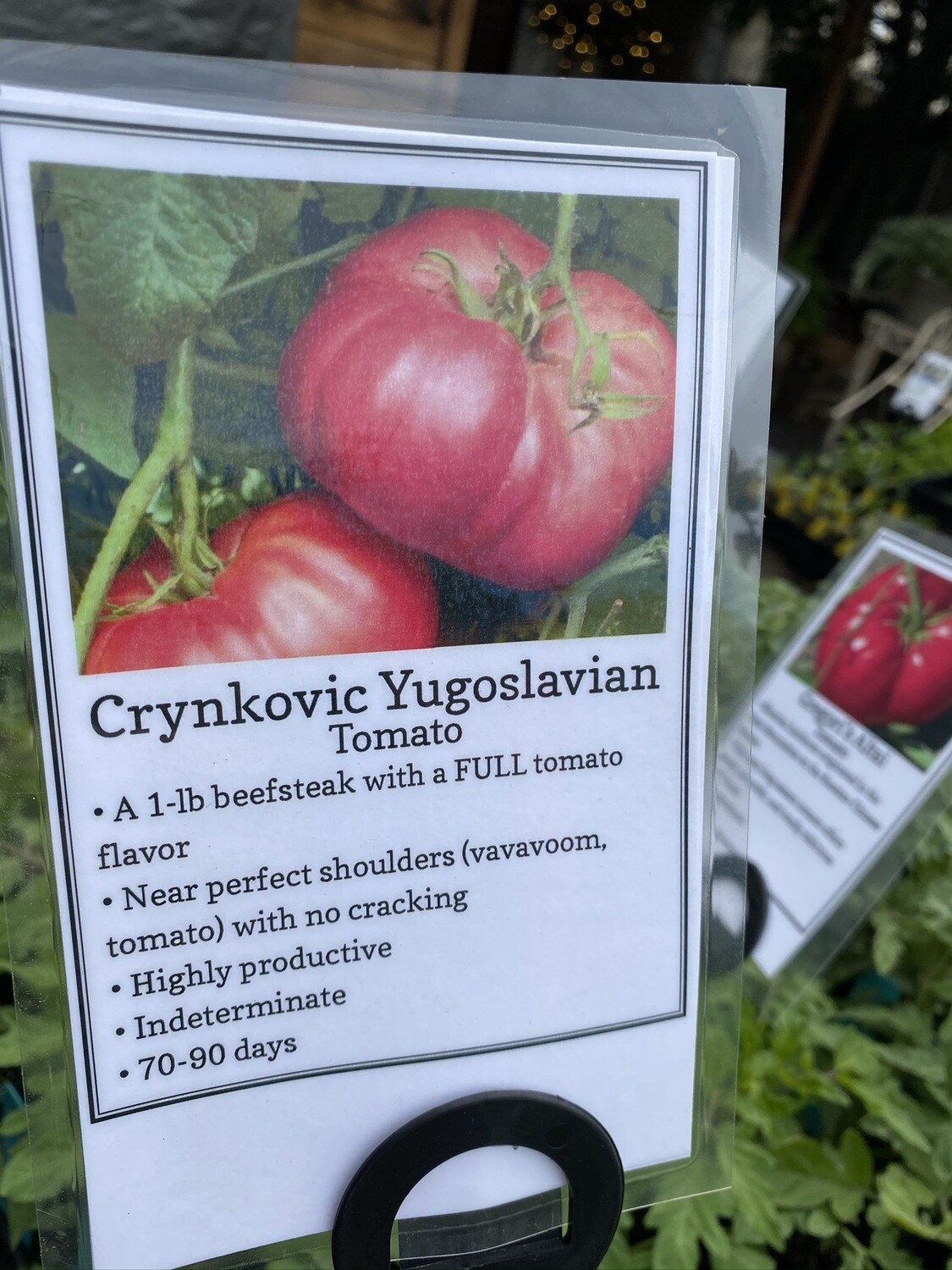 Crynkovic Yugoslavian Tomato - 1 Gallon