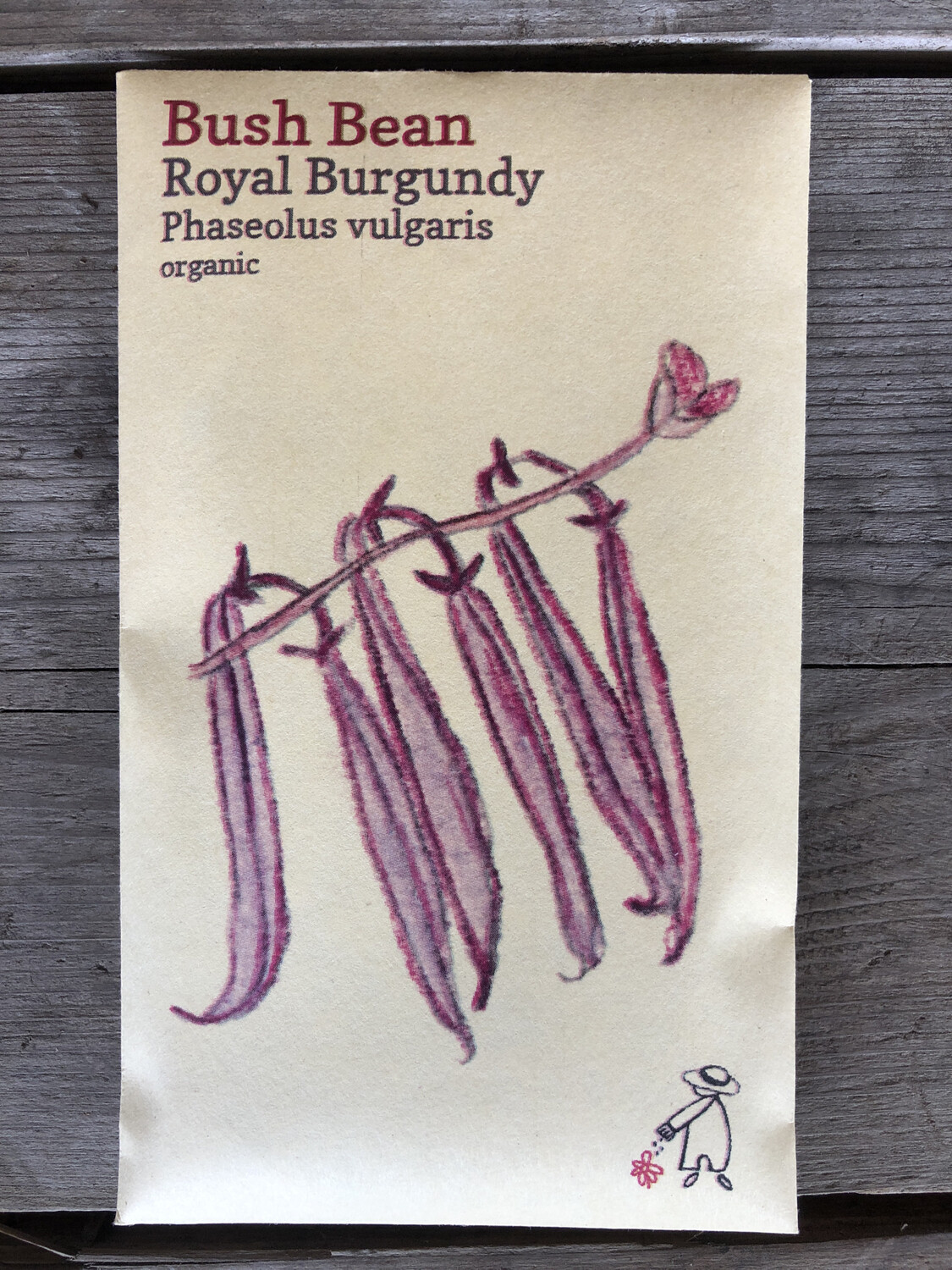 Royal Burgundy Bean Seeds