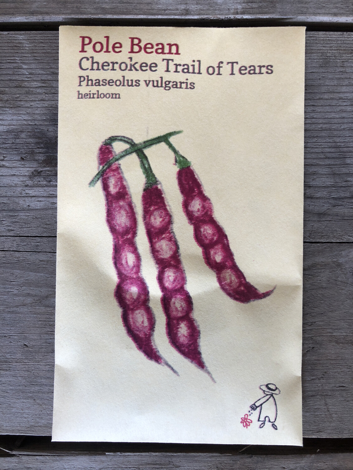 Cherokee Trail of Tears Bean Seeds