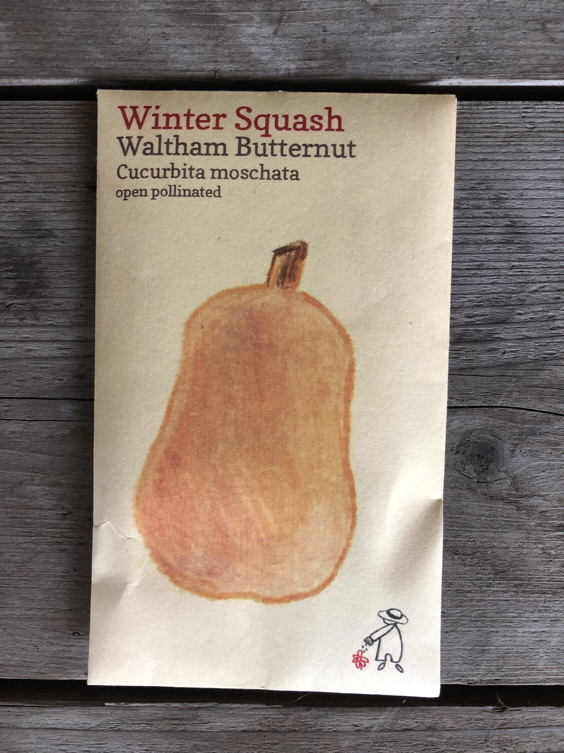 Waltham Butternut Squash Seeds