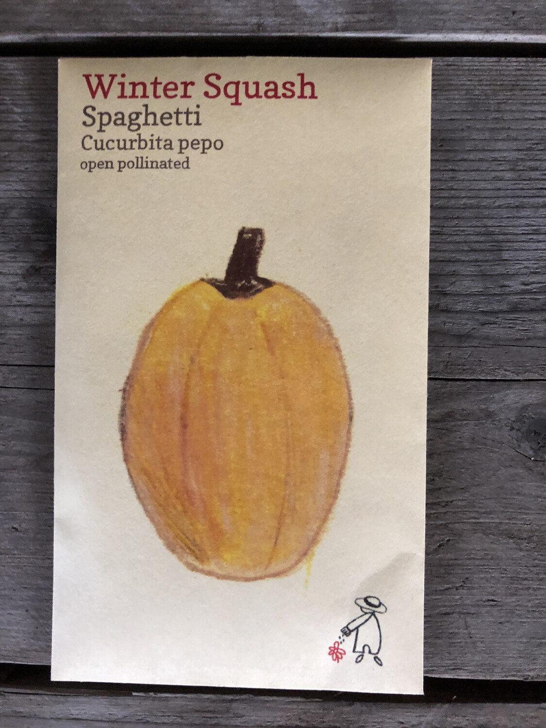 Spaghetti Squash Seeds