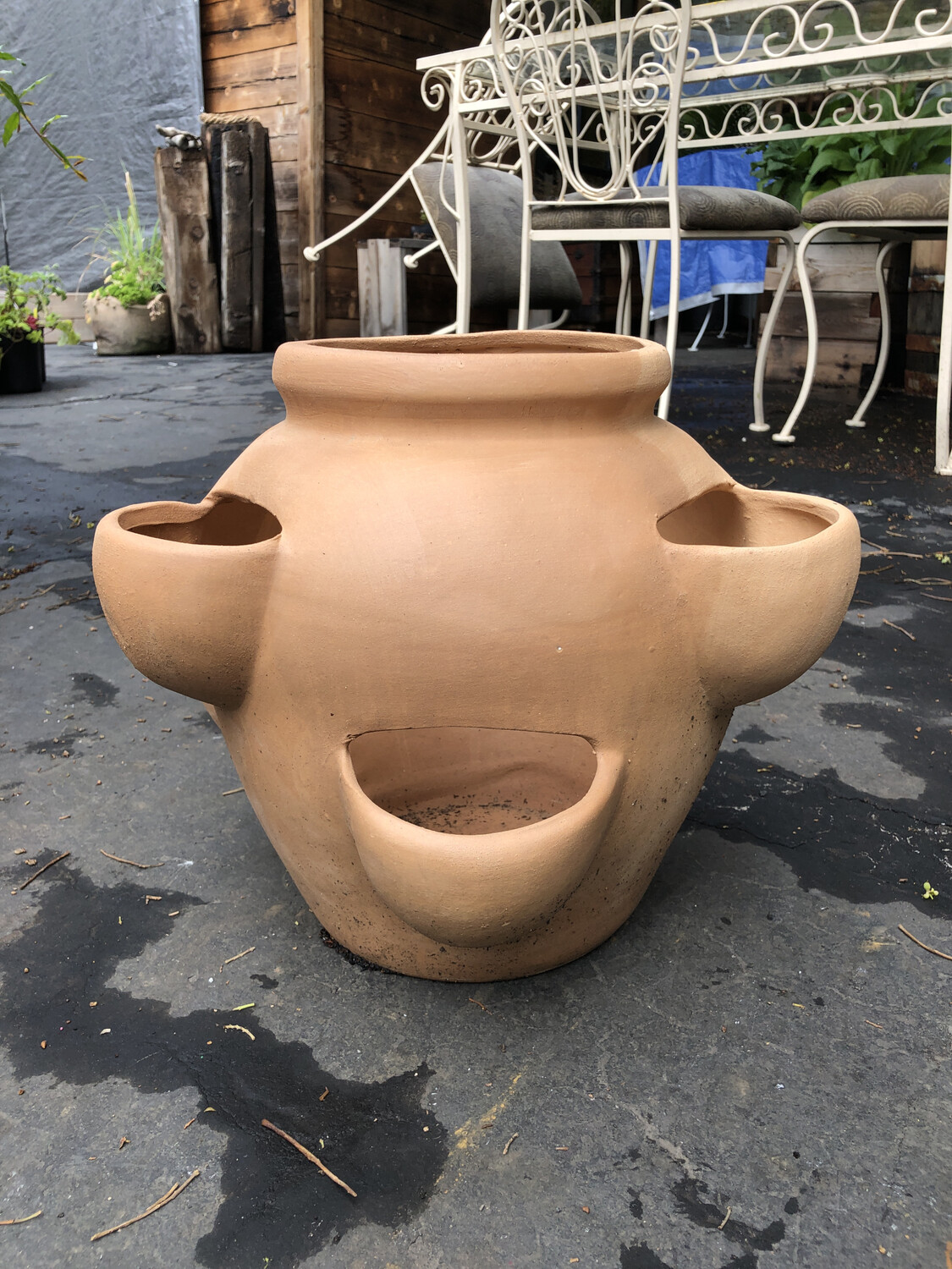Strawberry Pot - 6 Cup Tall - Clay
