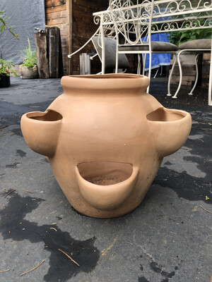 Strawberry Pot - 6 Cup Tall - Clay