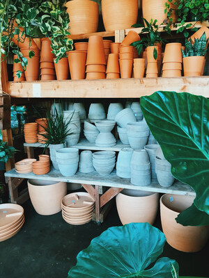 POTS, CONTAINERS &amp; SAUCERS
