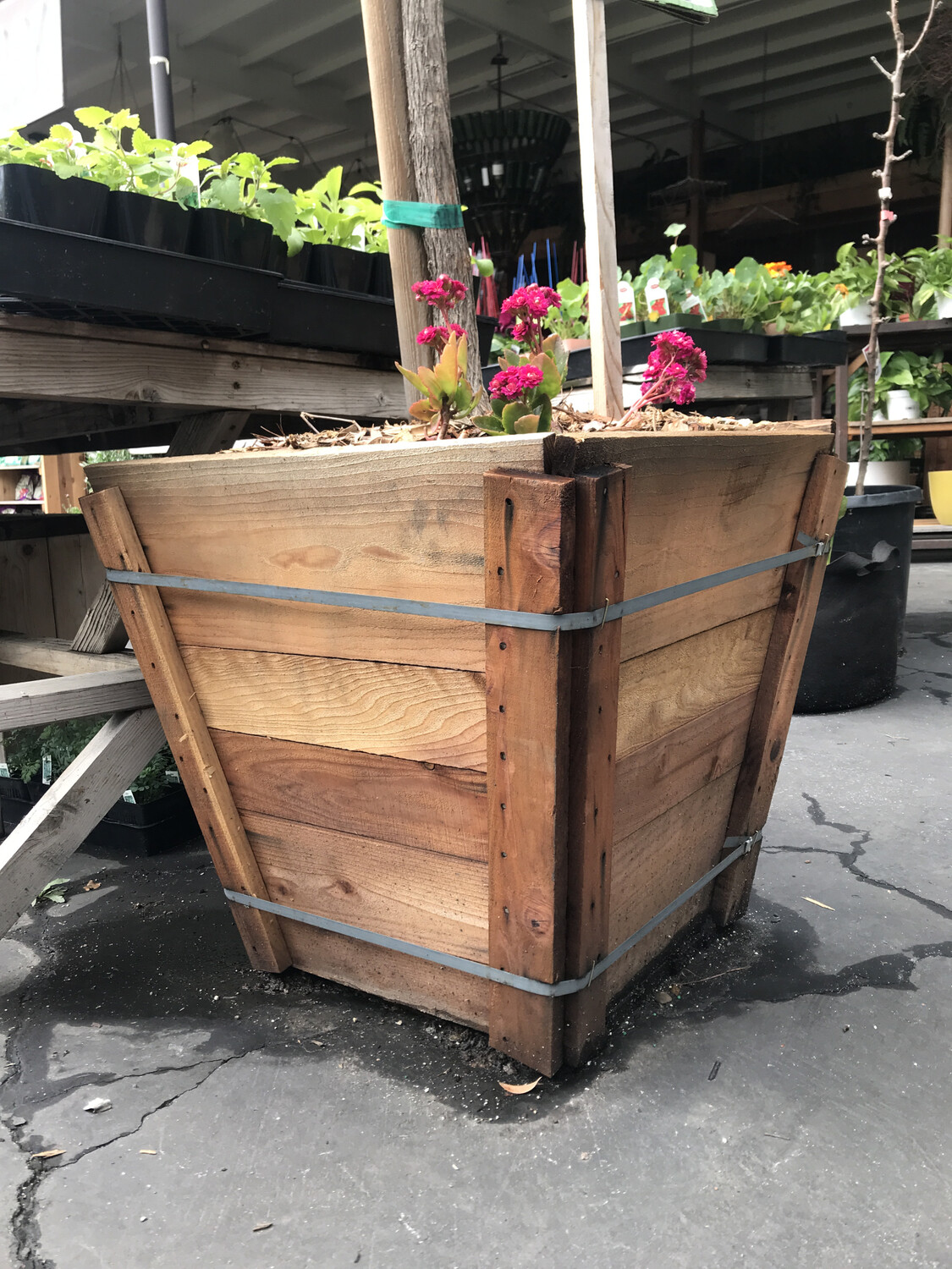 24&#39;&#39; Tree Box