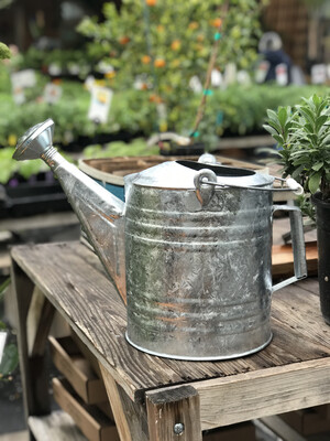 Hoses, Nozzles and Watering Cans