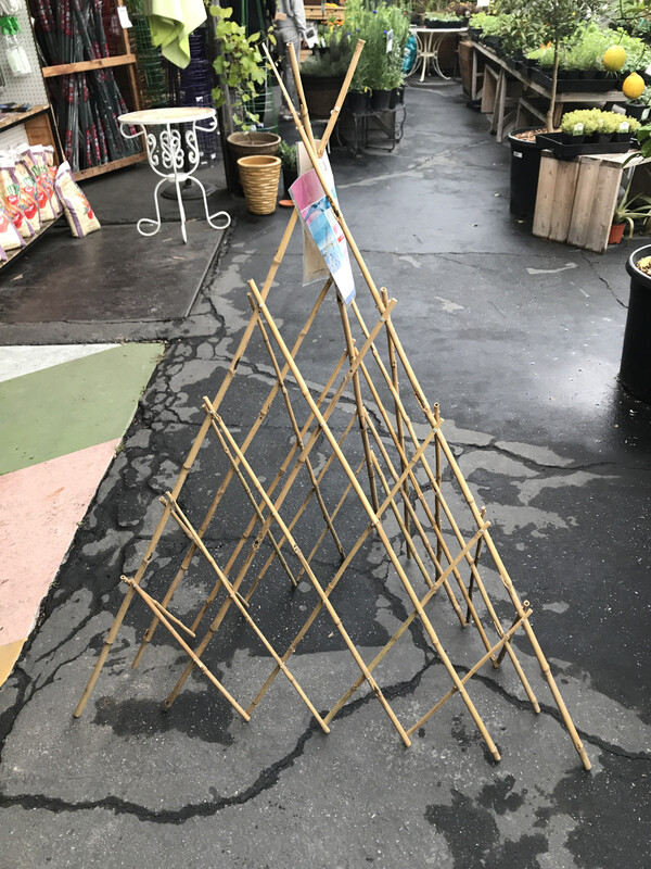 BOND Bamboo Teepee Trellis 5 ft