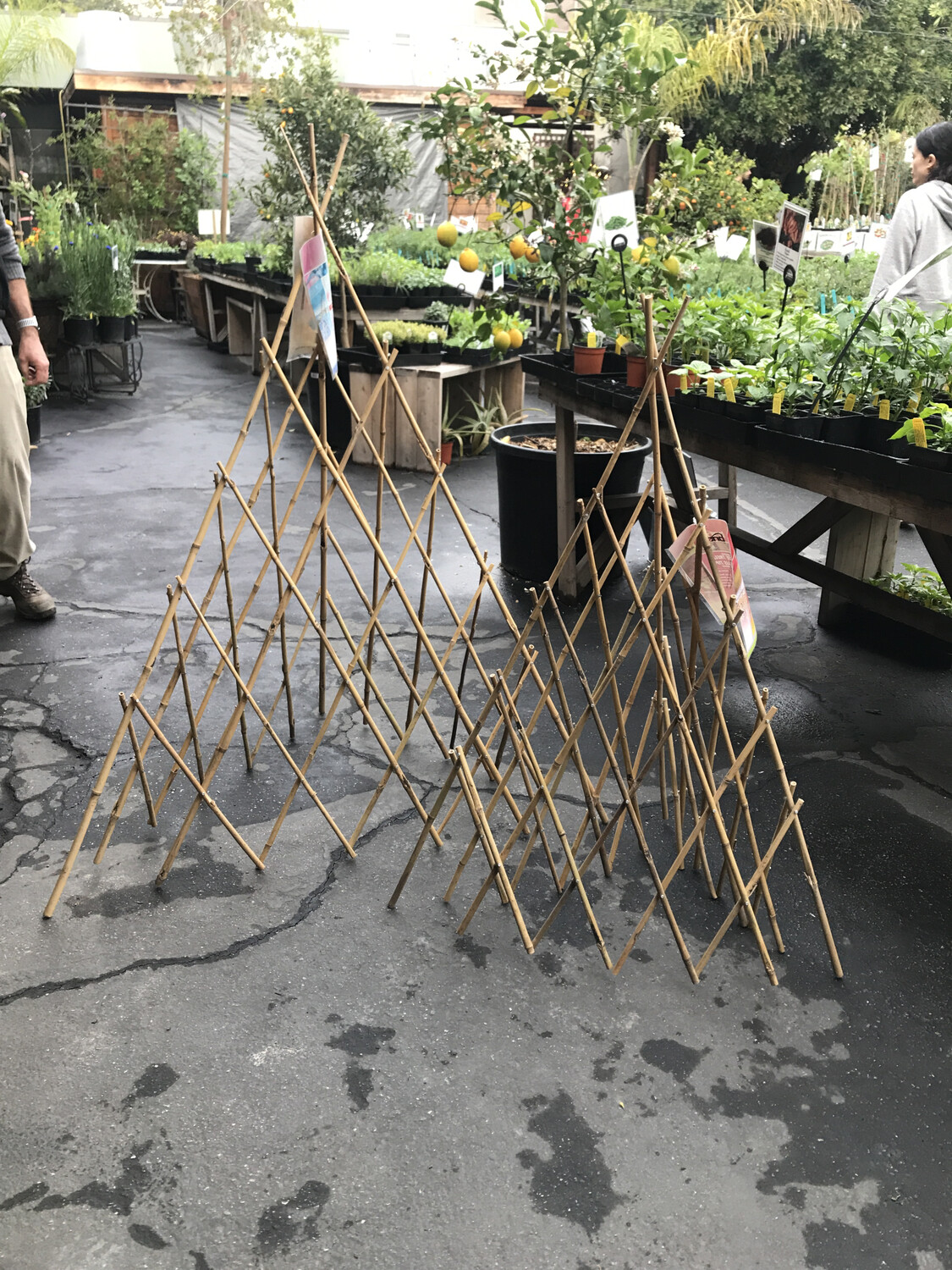 Bond Bamboo Teepee Trellis - 6ft