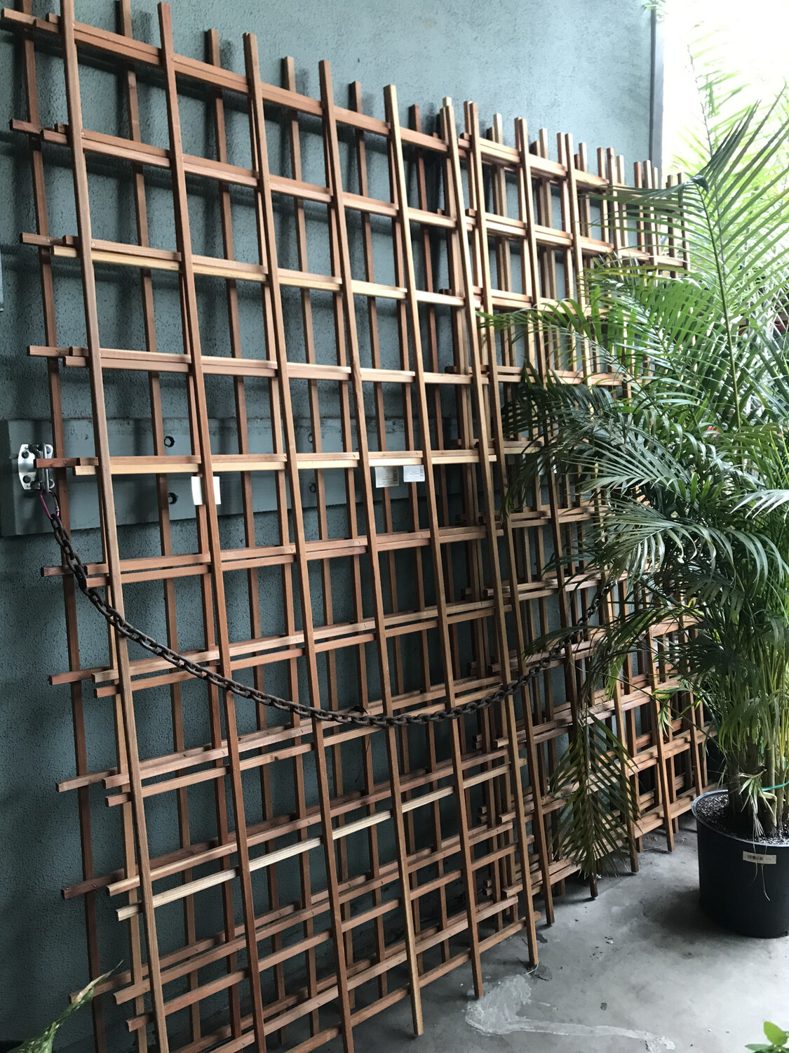 Trellis #84 (8&#39;)