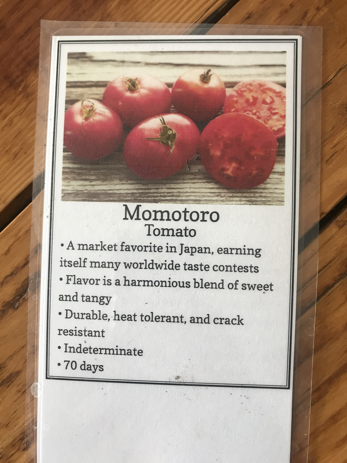 Momotoro Gold Tomato