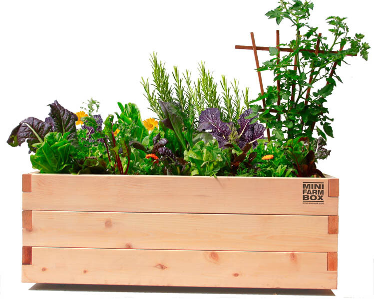 Double Tomato Planter