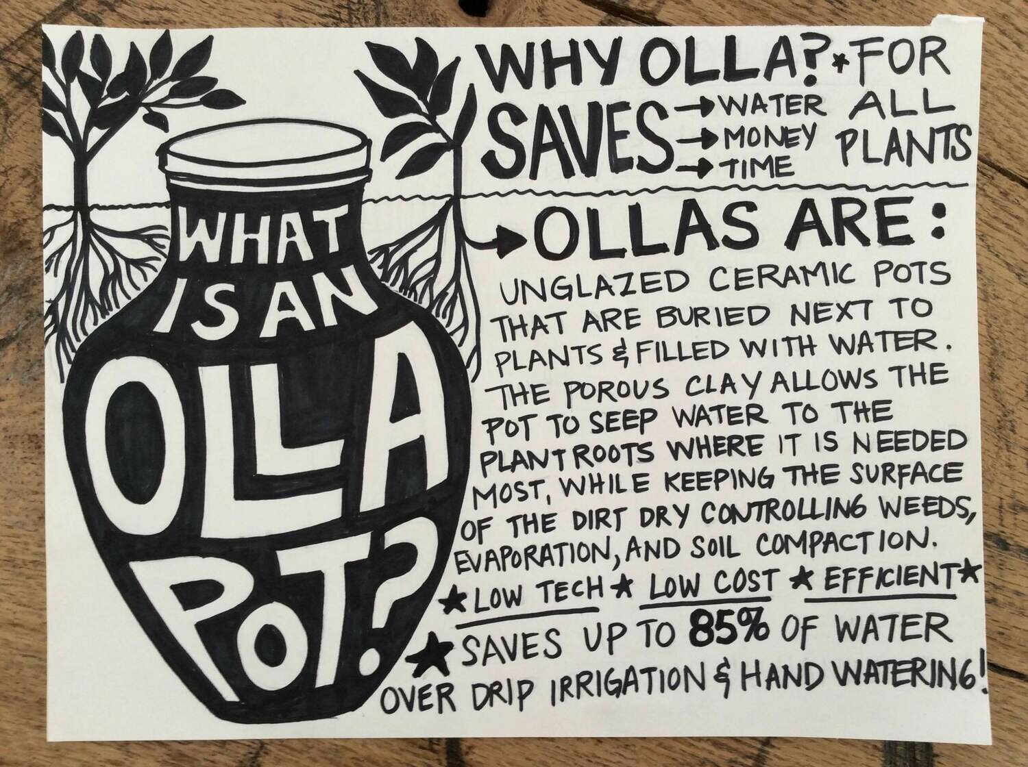 Mexican Olla