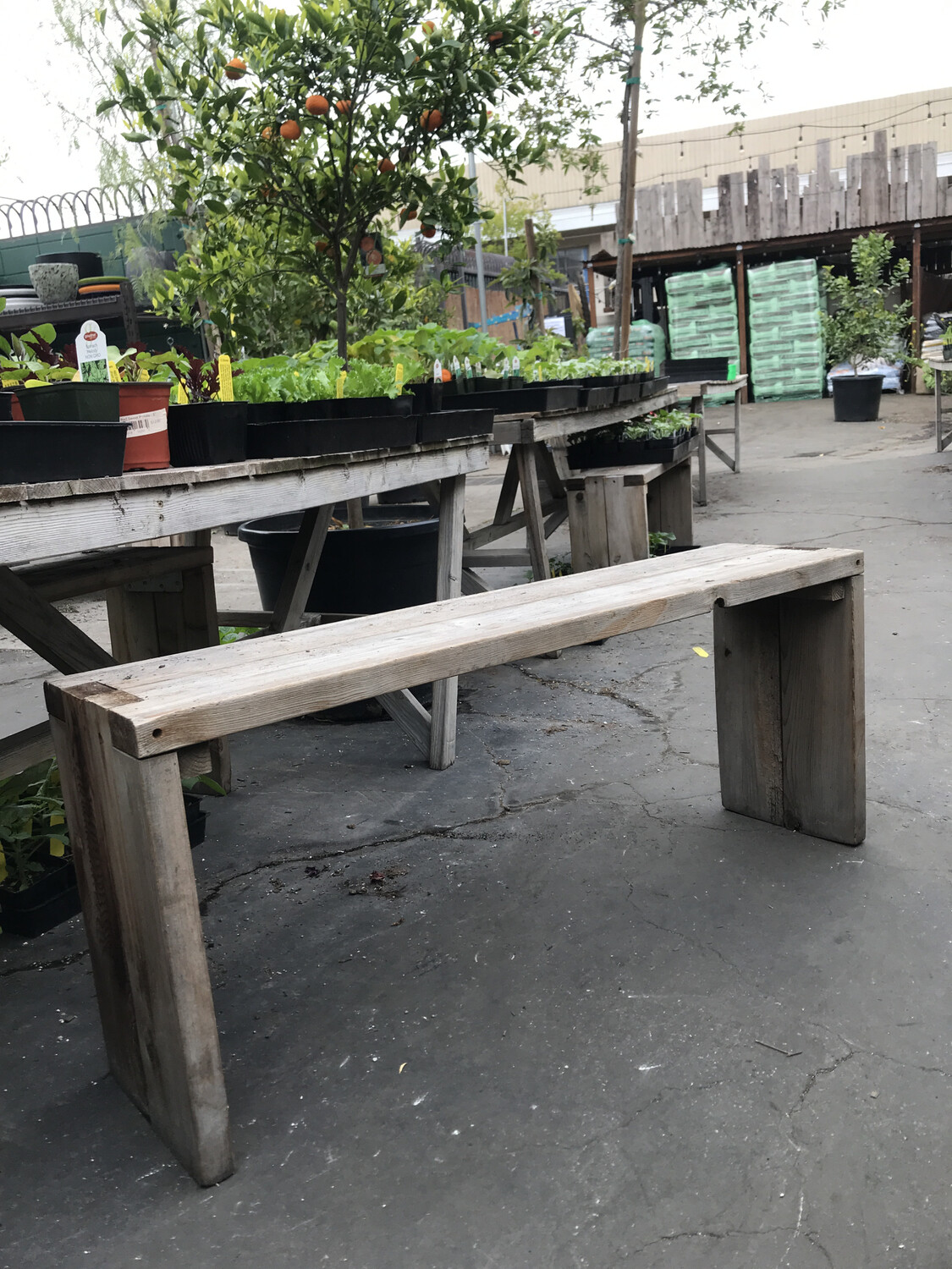 Cedar Bench