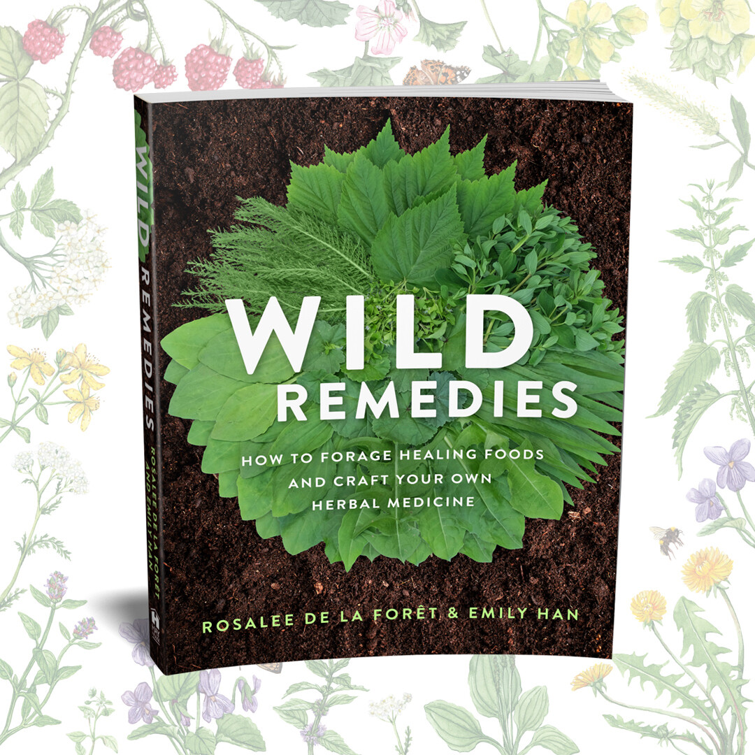 Wild Remedies Book