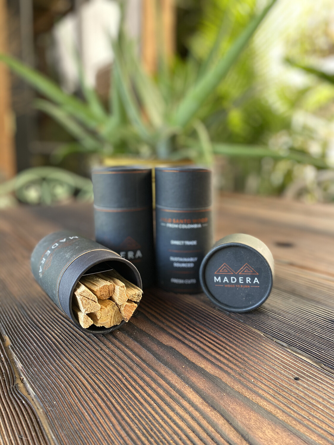 Madera Palo Santo