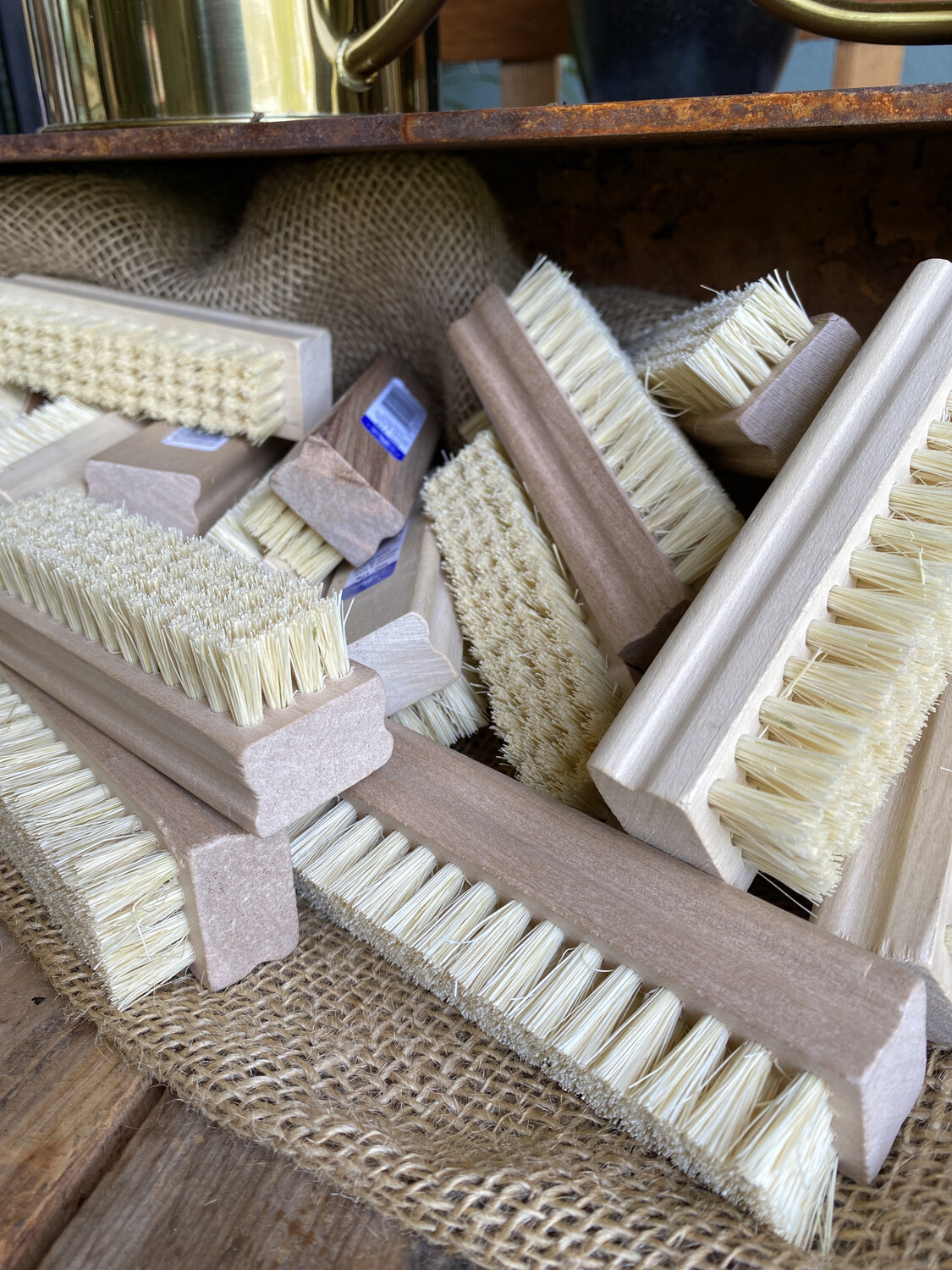Vegetable Brush
