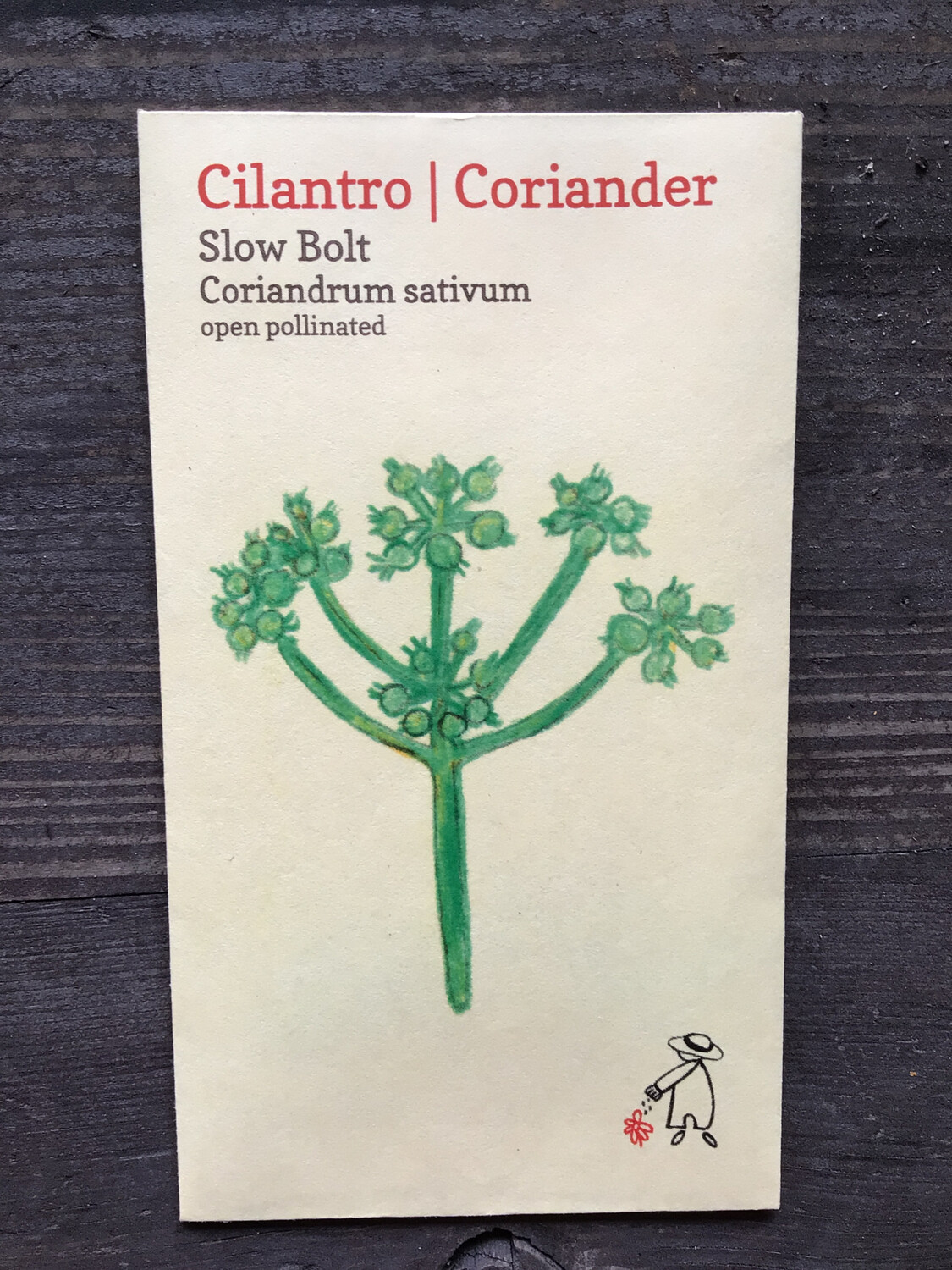 Slow Bolt Cilantro Seeds