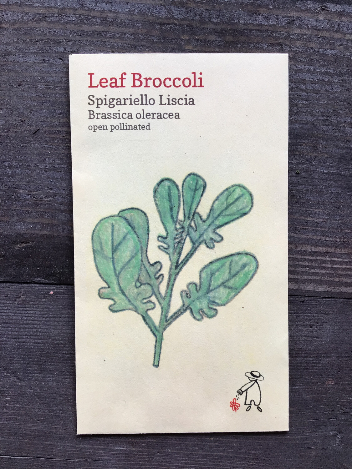 Spigariello Liscia Seeds