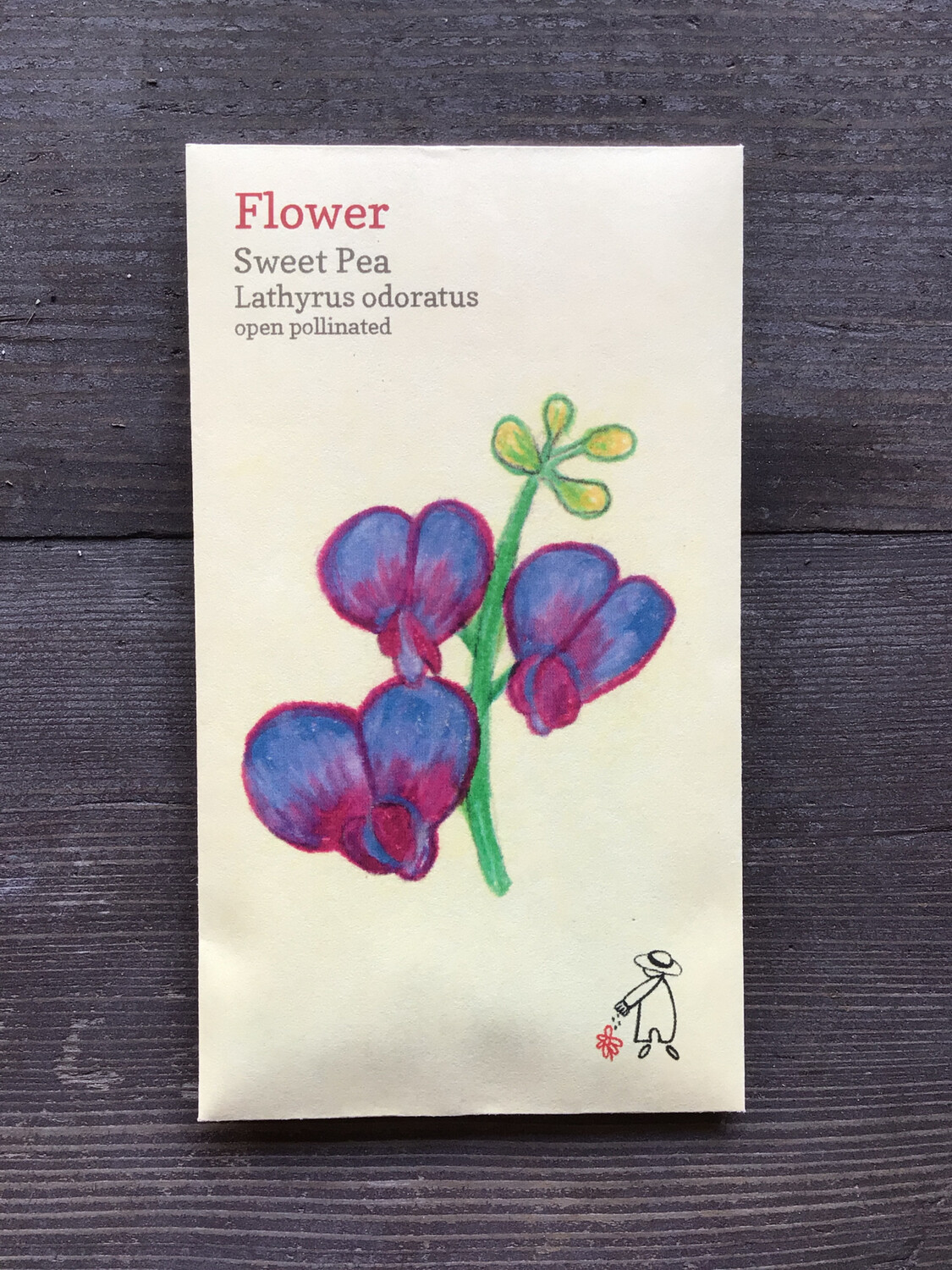 Sweet Pea &#39;Mammoth&#39; Flower Seeds