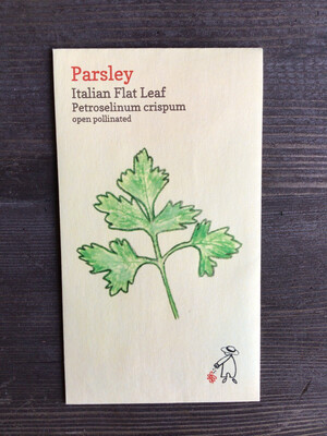 Italian Flat Leaf Parsley Seeds