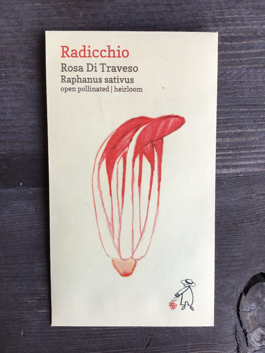 Rosa di Traveso Radicchio Seeds