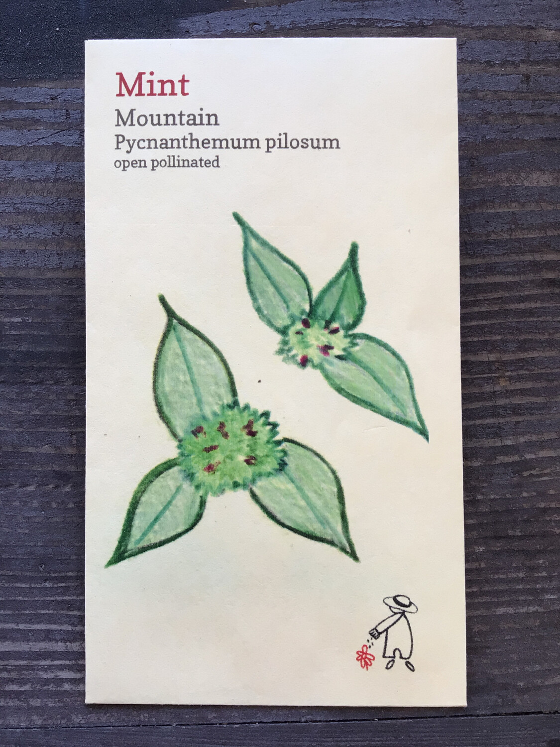 Mountain Mint Seeds
