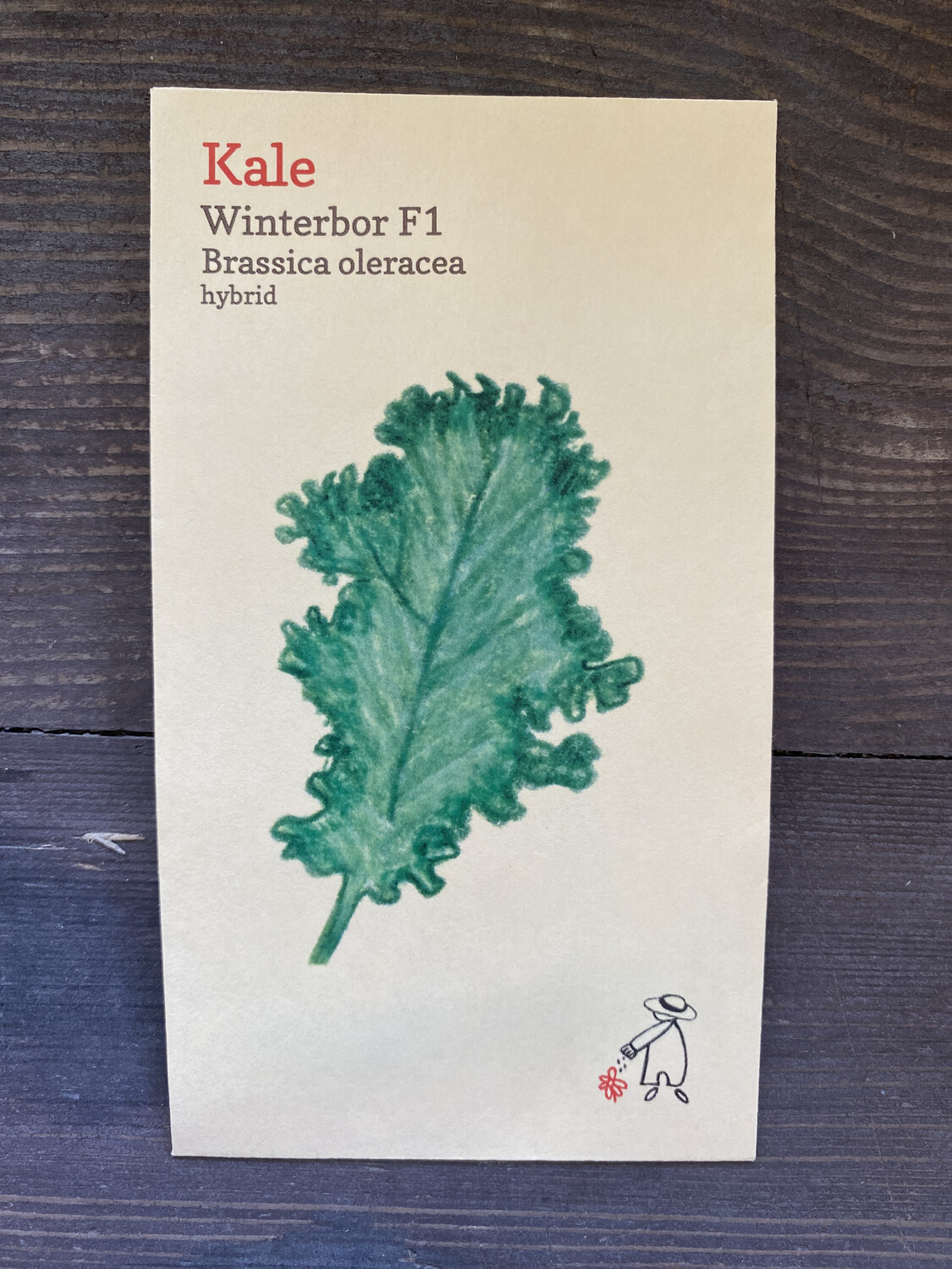 Winterbor F1 Kale Seeds