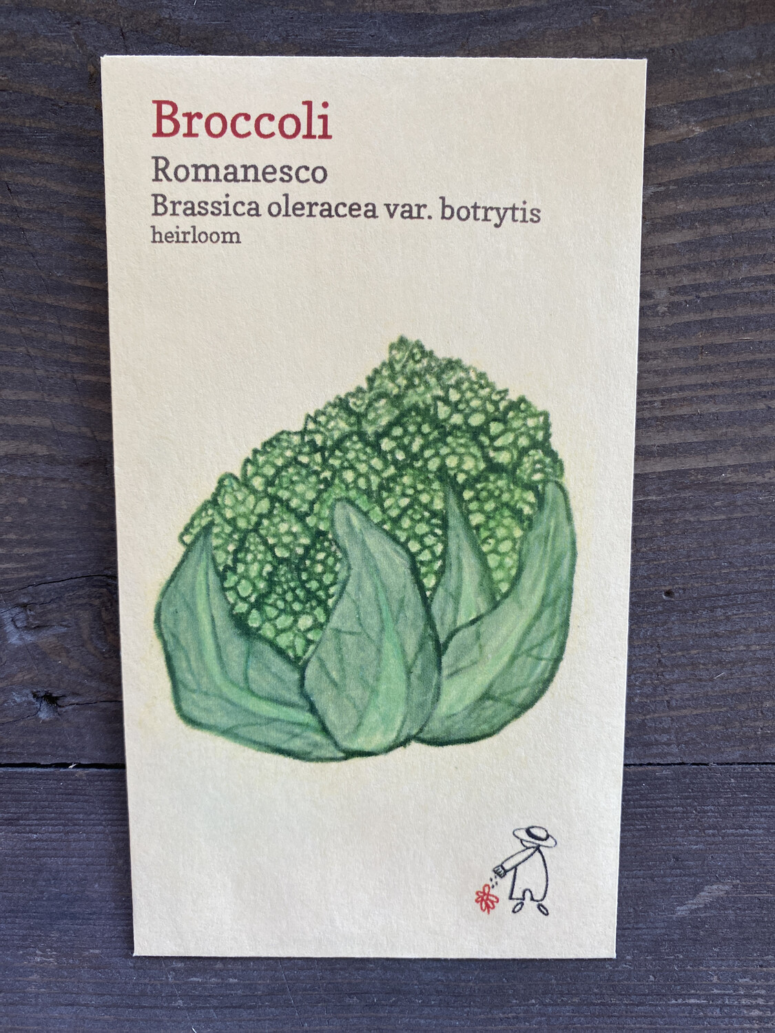 Romanesco Broccoli Seeds
