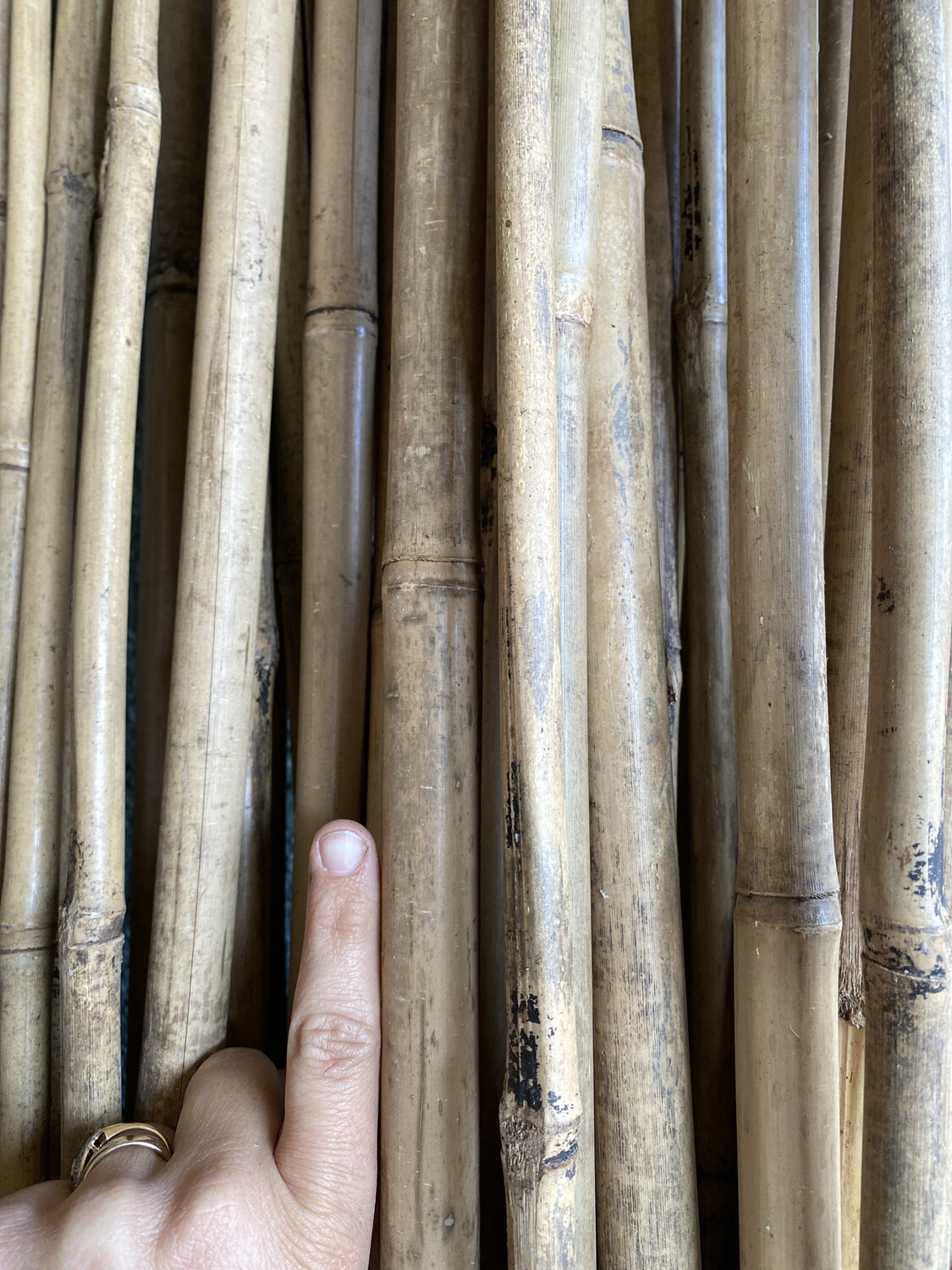 Natural Bamboo Stakes - 6&#39; x 3/4&#39;&#39;
