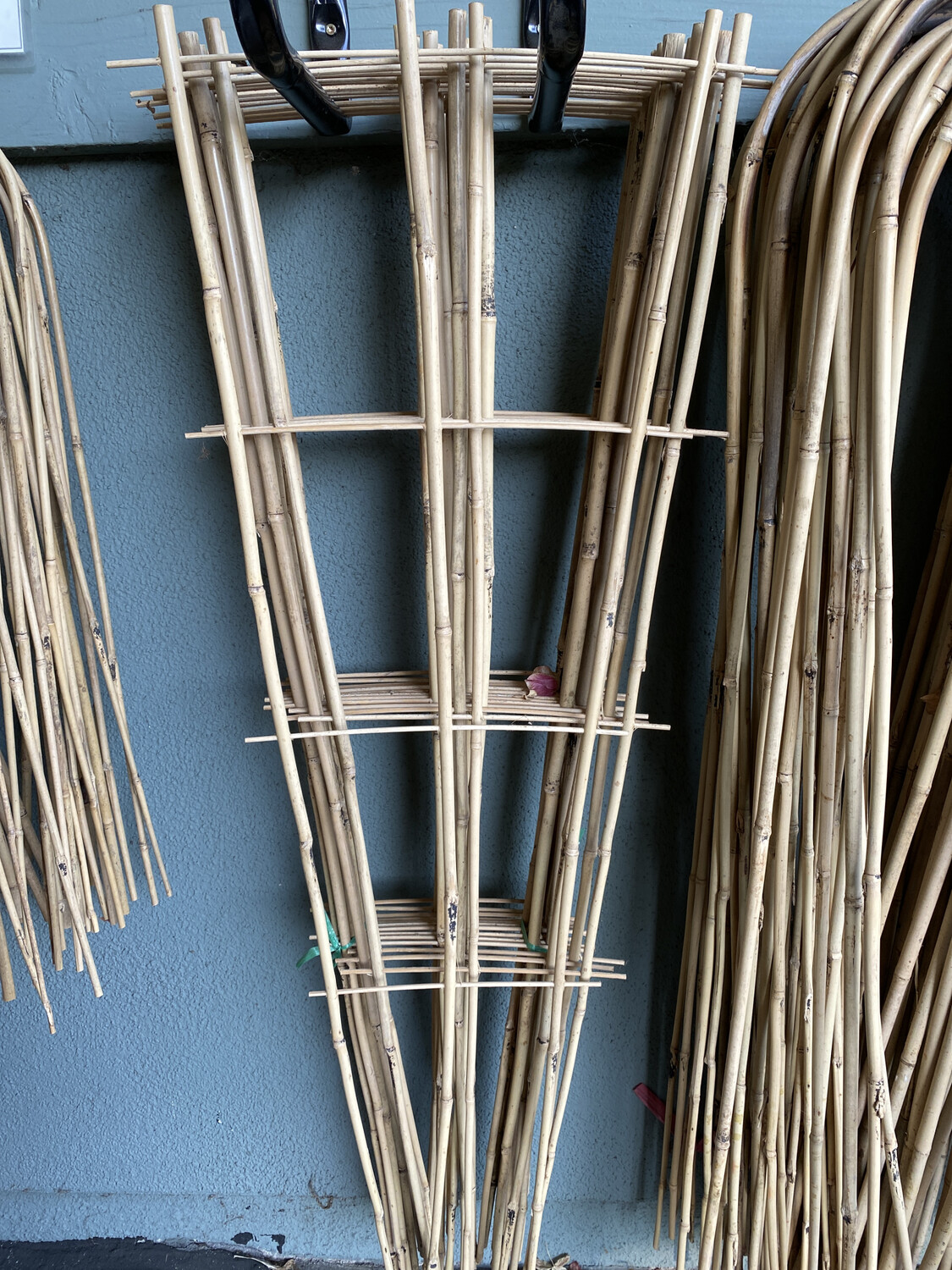 Bamboo Fan Trellis - 48&#39;&#39;