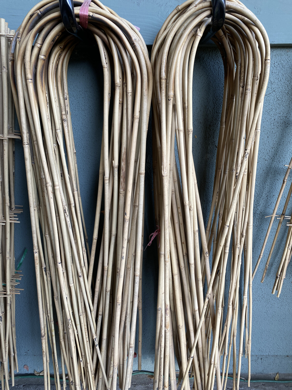 Bamboo U-hoop - 48&#39;&#39;