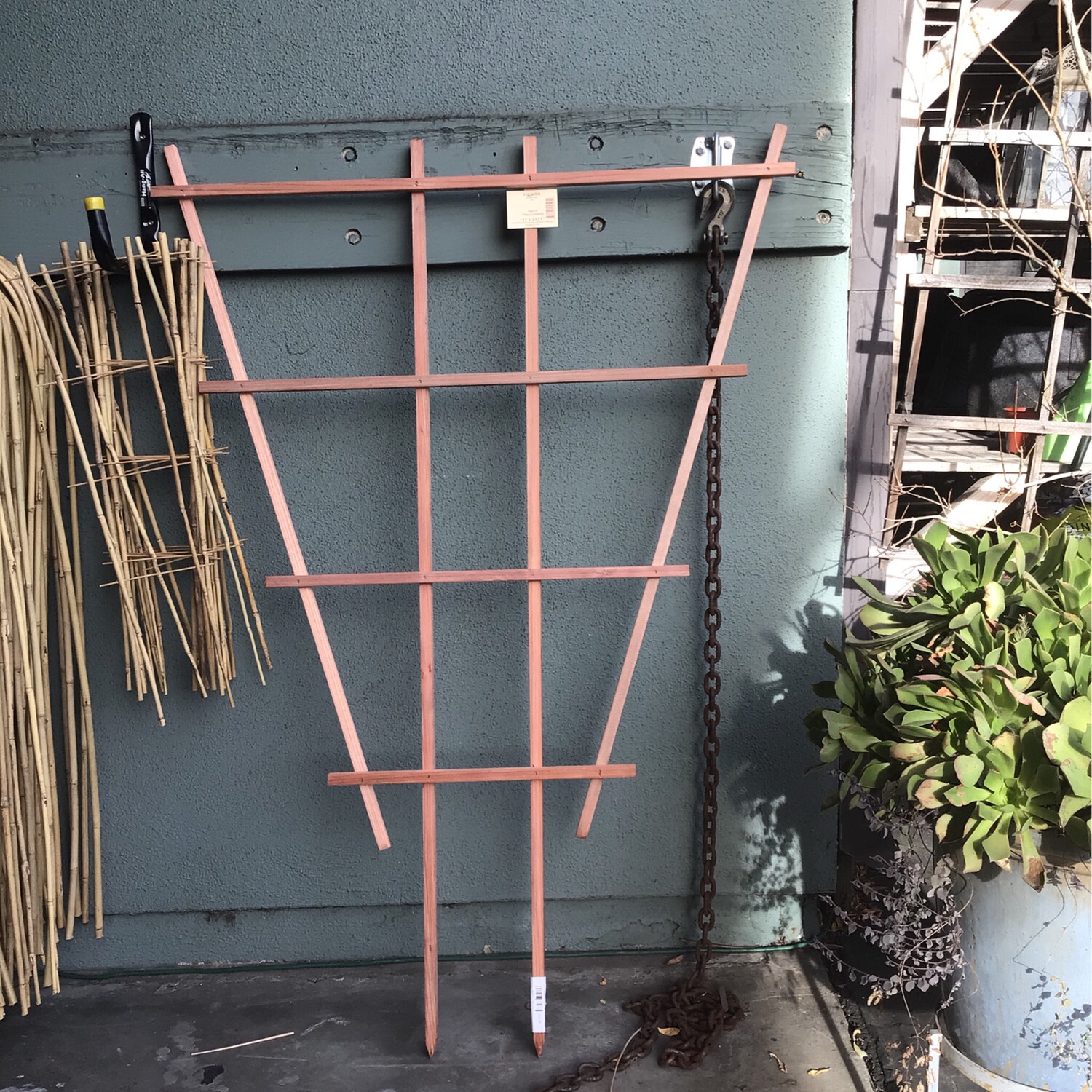 Trellis - #5 (42&quot; flare)