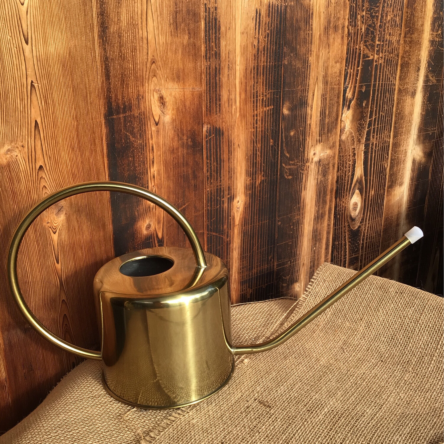 Vintage Watering Can