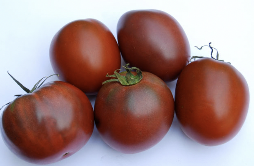 Tomato &#39;Bloody Butcher&#39; - 4&quot;