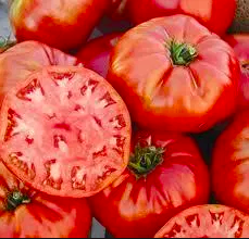 Tomato &#39;Neve&#39;s Azorean Red&#39; - 4&quot;