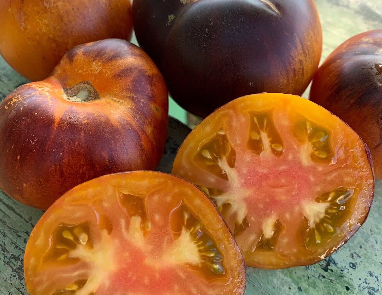Alice&#39;s Dream Tomato